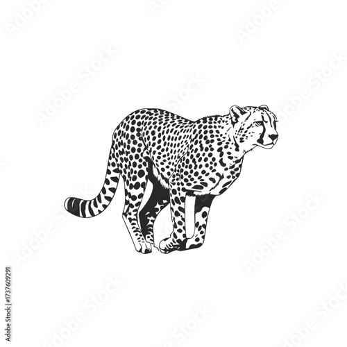 Dynamic Cheetah Running Silhouette Vector Illustration.