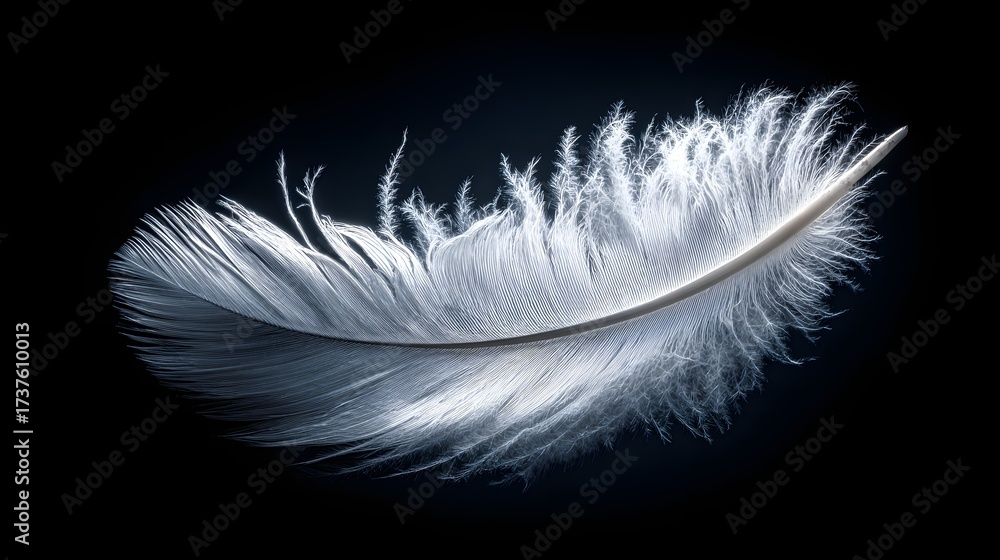 Obraz premium Delicate, shot displays a pristine, single white feather, showcasing intricate details and soft textures against a stark, contrasting black background.