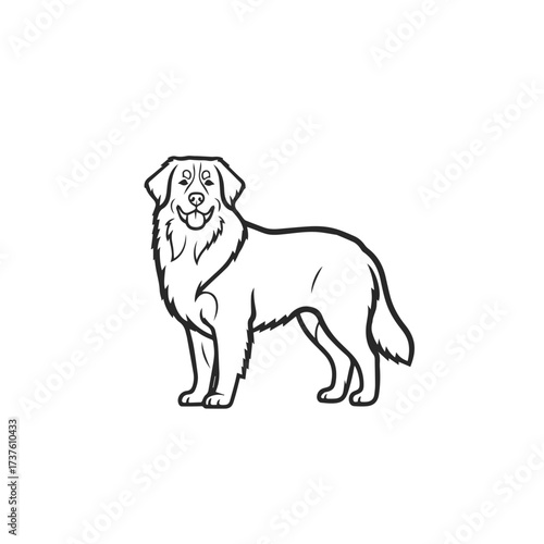 Happy Golden Retriever Dog Line Art Illustration.