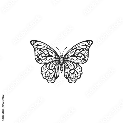 Intricate Black and White Butterfly Illustration.