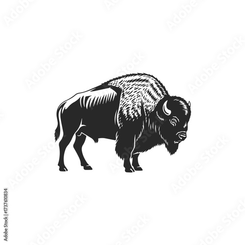 Majestic Bison Silhouette Standing Proudly.