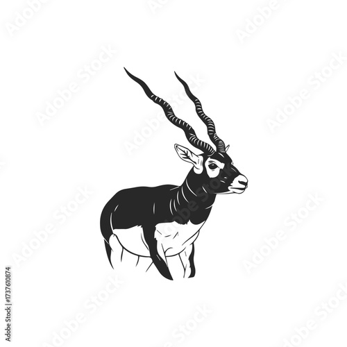 Majestic Blackbuck Antelope with Spiraling Horns.