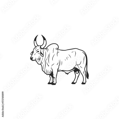 Majestic Bull Line Art Illustration.