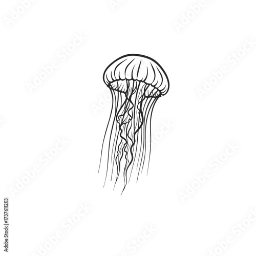 Minimalist Line Art Jellyfish Illustration 1.