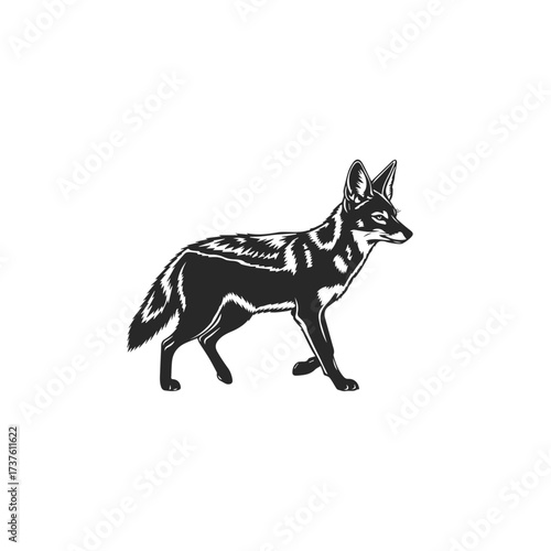 Silhouette of a Coyote Standing Alert.