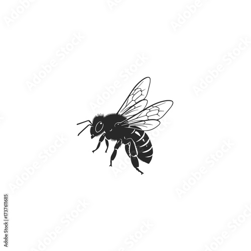 Silhouette of a Flying Honey Bee Insect.