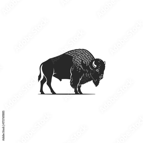 Silhouette of a Majestic Bison Standing Proudly 1.