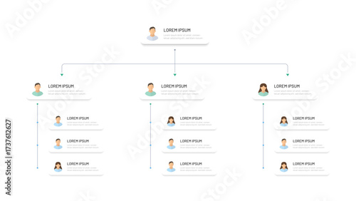Corporate organizational structure of a business company. Modern simple hierarchy design in the company. Boss and subordinates, avatar icons. Infographics, corporate tree