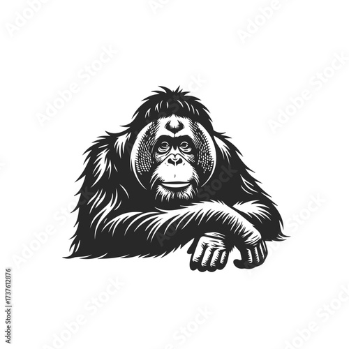 Stylized Black and White Orangutan Portrait 1.