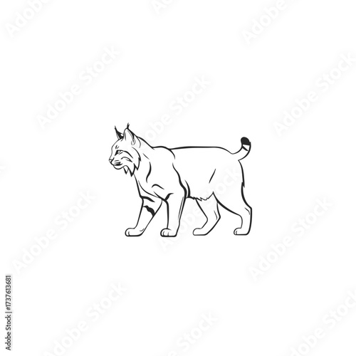 Stylized Lynx Walking Silhouette Line Art