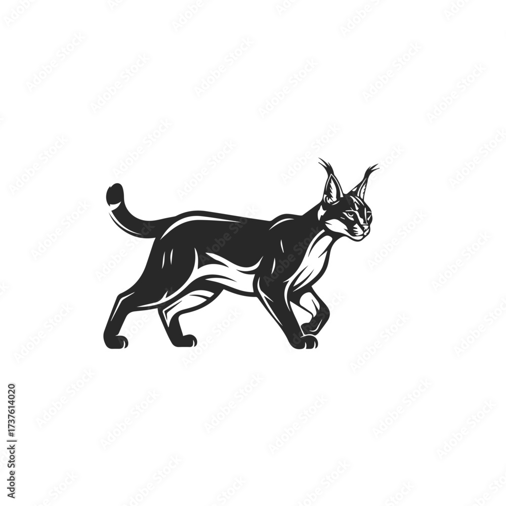 Fototapeta premium Stylized Silhouette of a Caracal Walking