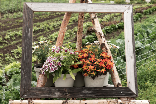 Wallpaper Mural Picture frames with flowers in the garden Torontodigital.ca