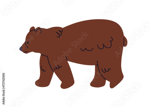 Brown bear walking, profile. Wild animal, forest fauna. Strong dangerous predator, carnivore mammal. Beast in side view, zoology, nature. Flat vector illustration isolated on white background