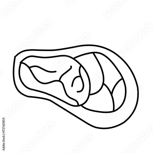 hand drawn raw meat icon