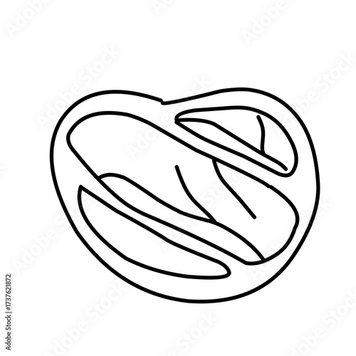 hand drawn raw meat icon