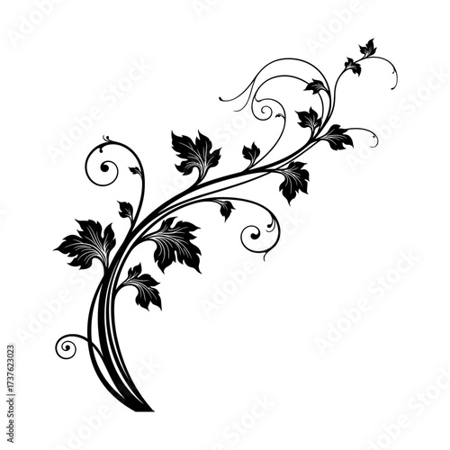 Elegant black vine with swirling tendrils and leaves decorative element vector
