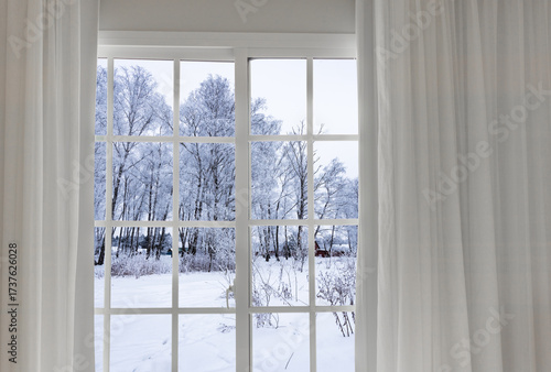 Winter Landscape Seen Through Large Glass Doors