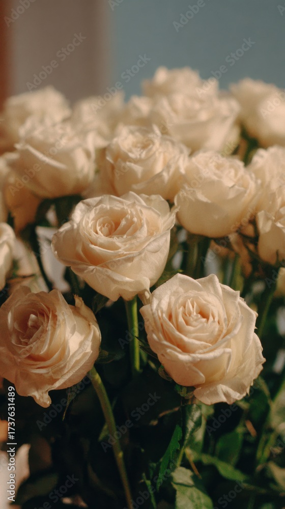 Obraz premium A cluster of white roses is displayed, highlighting their soft petals and lush green stems. The bouquet exudes a sense of tranquility and natural beauty.