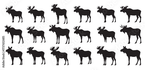moose silhouette white background vector illustration