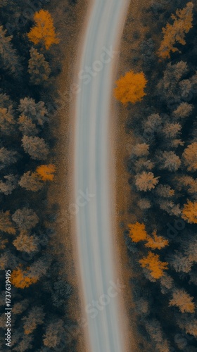 An aerial view of a winding road through a forest with vibrant autumn foliage