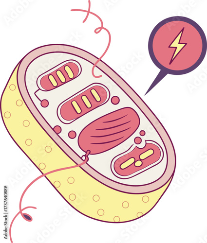 Dynamic illustration of a chloroplast generating energy, symbolizing cellular power and scientific discovery for educational and research purposes.