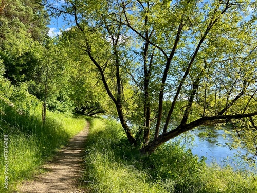 Φωτογραφία A tranquil river scene with clear blue skies is framed by lush green trees and foliage