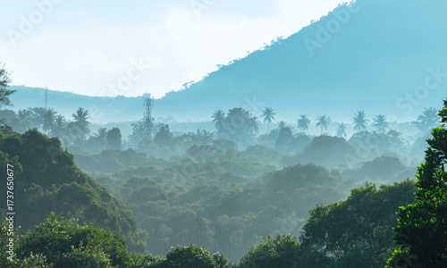 Fototapeta Naklejka Na Ścianę i Meble -  Tropical forest landscape with morning mist covering lush green trees and distant mountains, ideal for eco tourism, nature concepts, environmental design, and relaxation themes