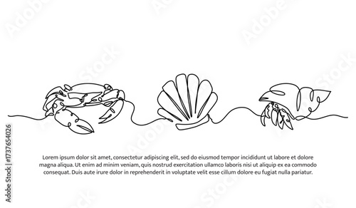 Continuous line design of hermit crab, crab and pearl oyster. Single line decorative element drawn on white.