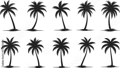  Tropical Palm Tree Silhouettes Collection: Island Vacation, Summer Holiday, Beach Resort, and Exotic Landscape Design Elements, Vector Graphic for Travel and Tourism