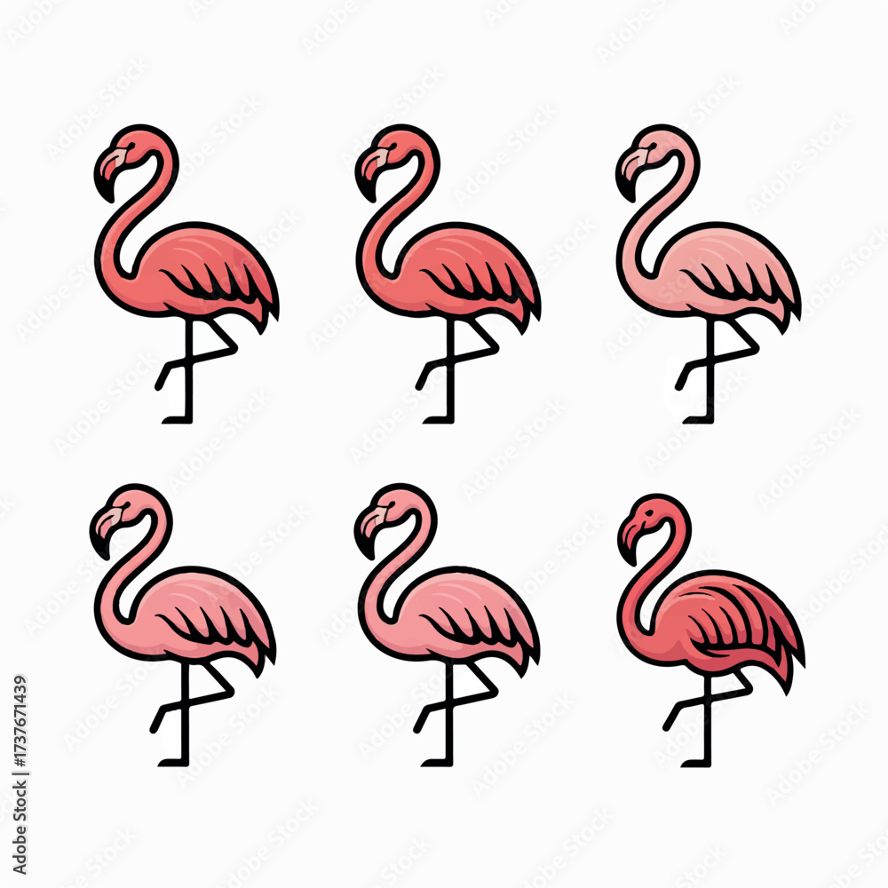 Fototapeta premium A beautiful varieties seabirds silhouette.