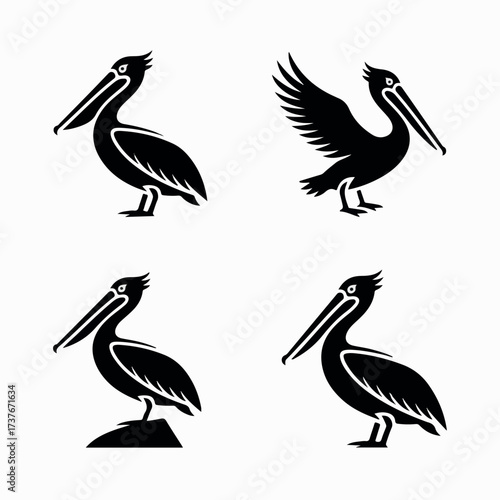 A beautiful  varieties  seabirds silhouette.