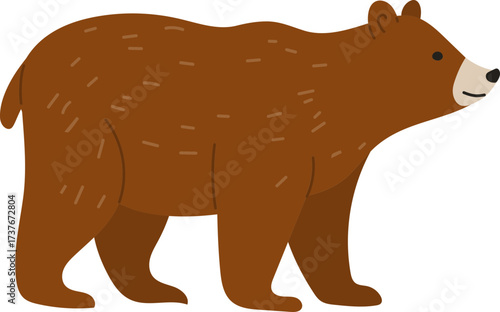 brown bear vector illustration
