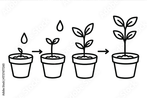 Sequential stages of a young plant growing in a pot from sprout to mature leaves
