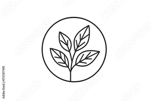 Stylized botanical design with plant stem and leaves in circular border