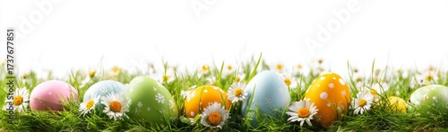Colorful Easter Eggs in Grass with Daisies, Isolated on White