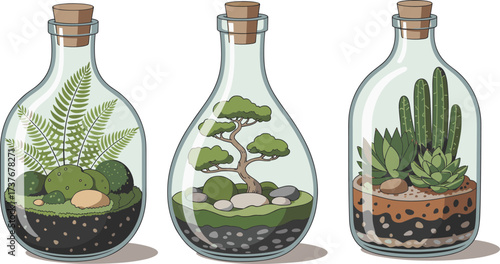 Set of three glass terrariums with miniature plants, bonsai tree, succulents, and ferns, decorative indoor gardening concept
