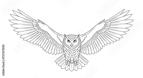 An outline drawing of a great horned owl with wings spread wide open in flight.