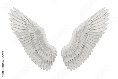 Majestic pair of white feathered wings symbolizing freedom and spirituality