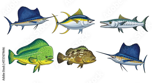 An artistic rendering of six distinct ocean sport fish species.