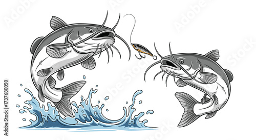 Two catfish jumping for a lure in the water.