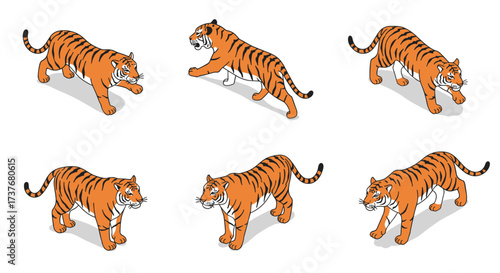 Isometric tiger set: different poses of tigers in isometric style on white background
