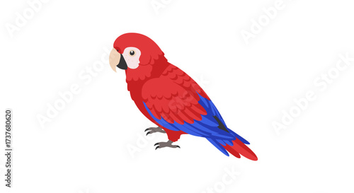Vibrant scarlet macaw parrot in profile on clean white background