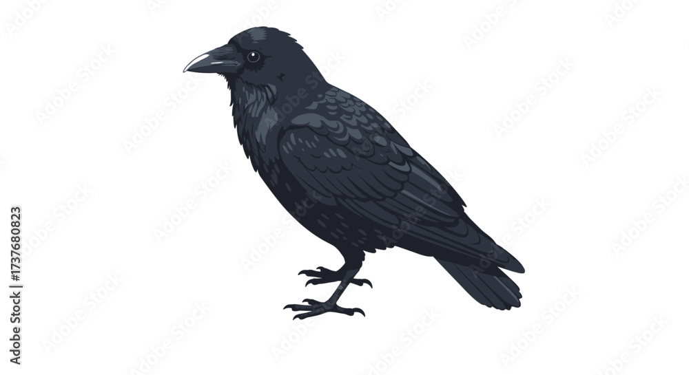 Obraz premium Detailed raven bird in profile view on white background