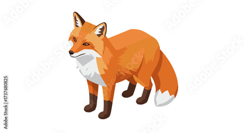 Geometric fox standing on white background in low poly art style