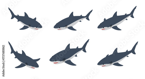 Collection of sharks in various swimming poses on white background