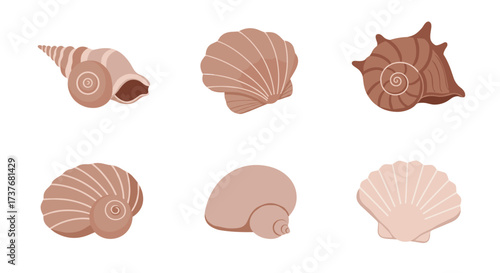 Collection of seashell icons in earthy tones illustrating marine beauty