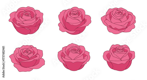 Set of six pink roses in flat style on white background
