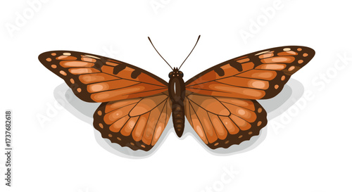 Realistic monarch butterfly with detailed wing patterns on white background