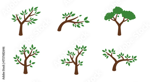 Simple tree designs in flat style featuring varied green foliage and branch shapes