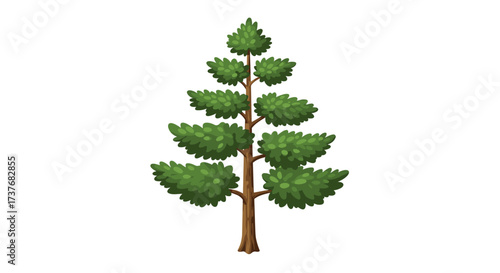 Lush evergreen tree with verdant foliage and brown trunk on white background